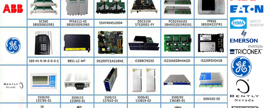 漳州风云小赖总18350224834