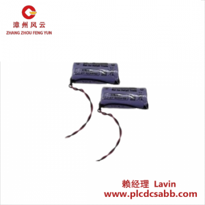 ABB ABB TA951F 电池模块 用于RAM缓冲