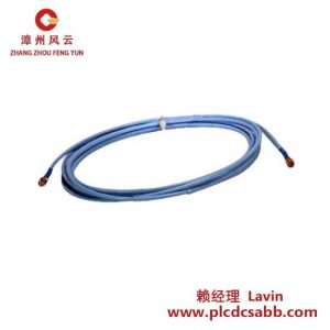 Bently Nevada 探头延长线 DS-1051/03/045/0/0/1/9, 适用于工业监测