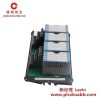 福克斯波罗 FBM242 P0916NG 输出开关模块