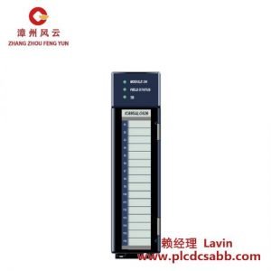 GE IC695ALG626 高性能模拟量输入模块