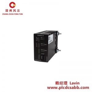 GE通用电气 IS220PAOCH1B 输入/输出模块
