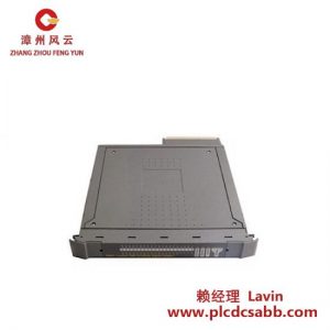 ICS Triplex PLC Trusted T8231 模块