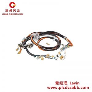 ABB 3HAC029896-024 电缆束，适用于工业自动化控制