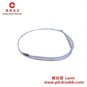 ABB AO2020 模拟量输出模块