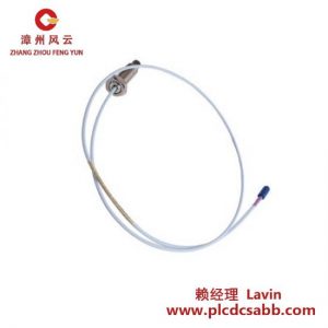BENTLY NEVADA 330910-00-12-10-02-00 高精度振动监测传感器