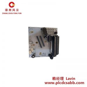 霍尼韦尔 CC-TAIX01 模拟输入模块
