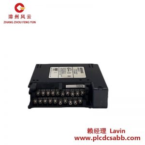 GE IC693ALG221 模拟输入模块