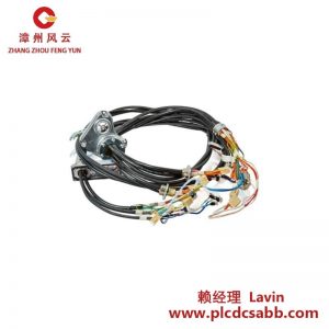 ABB 3HAC069651-001 工业级电缆束