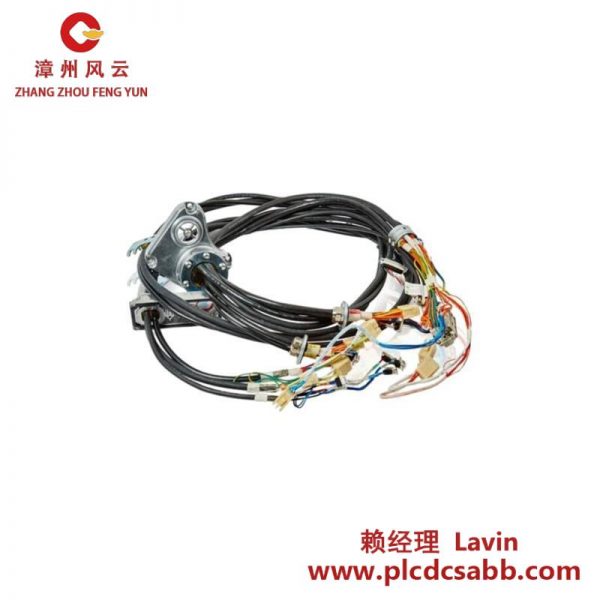 ABB 3HAC069651-001 工业级电缆束