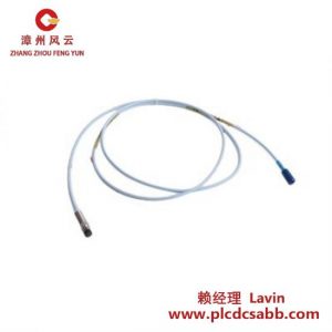 BENTLY NEVADA 330105-02-12-15-02-CN 靠近传感器
