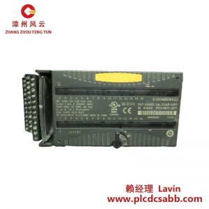 GE IC200MDD842J 24VDC输出混合型16点输入模块