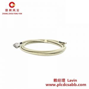 ABB TK576V050 3BSC950055R1电缆组件 5米（16英尺）
