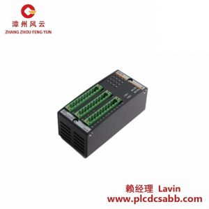 Bachmann 温度输入模块 PTAI216 控制器模块