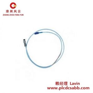 BENTLY BENTLY NEVADA 330171-00-12-50-01-CN 短交期振动监测模块