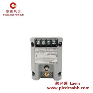 Bently Nevada 991-06-50-01-01 高精度振动监测模块