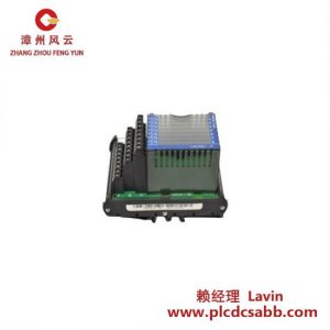 福克斯波罗Foxboro Invensys FBM206 P0916JQ终端装配模块