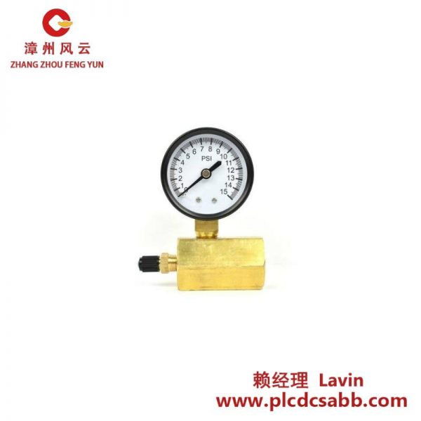 Thrifco Plumbing 8705TPE010S1W0N5 275PSIG气体压力测试表
